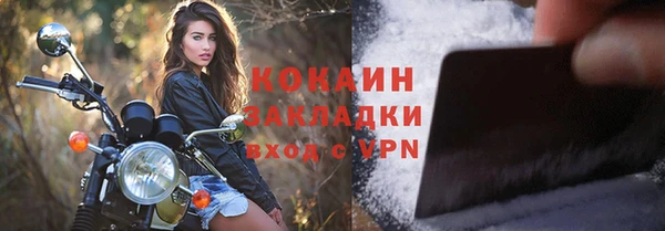 стафф Зерноград