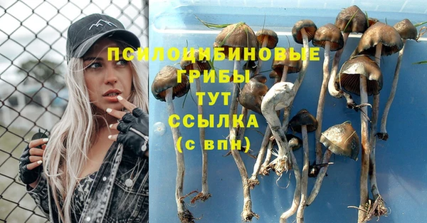 стафф Зеленодольск