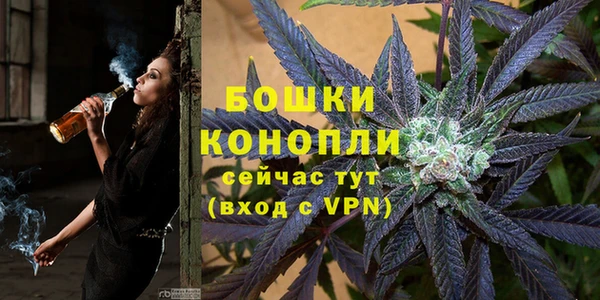 стафф Зерноград