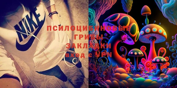 стафф Зерноград