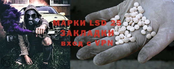 стафф Зерноград