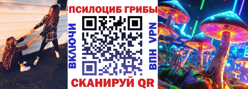 купить наркотики сайты  Касли  Псилоцибиновые грибы Cubensis 